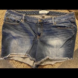 Torrid jean shorts!